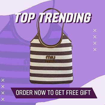 Fortok Miu Miu IVY canvas and leather bag 35×40cm 