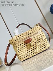 Fortok Louis Vuitton Vanity Chain Pouch Raffia 6.5 x 11.5 x 19cm - 1