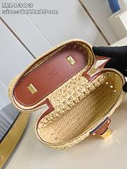 Fortok Louis Vuitton Vanity Chain Pouch Raffia 6.5 x 11.5 x 19cm - 6