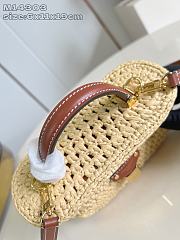 Fortok Louis Vuitton Vanity Chain Pouch Raffia 6.5 x 11.5 x 19cm - 5