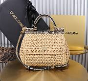 Fortok Dolce & Gabbana DG Sicily Raffia And Python Pattern Bag 20x16x8cm  - 1