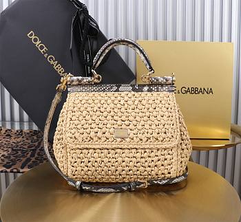 Fortok Dolce & Gabbana DG Sicily Raffia And Python Pattern Bag 20x16x8cm 