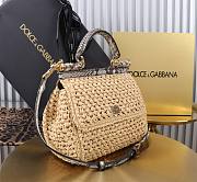 Fortok Dolce & Gabbana DG Sicily Raffia And Python Pattern Bag 20x16x8cm  - 5
