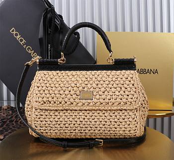 Fortok Dolce & Gabbana DG Sicily Raffia And Python Pattern Bag 25x17x9cm