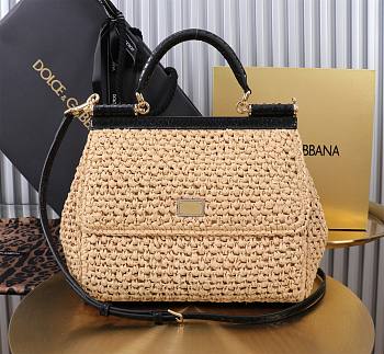 Fortok Dolce & Gabbana DG Sicily Raffia And Python Pattern Bag 25x20x12cm