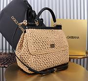 Fortok Dolce & Gabbana DG Sicily Raffia And Python Pattern Bag 25x20x12cm - 4