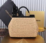 Fortok Dolce & Gabbana DG Sicily Raffia And Python Pattern Bag 25x20x12cm - 6