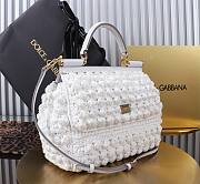 Fortok Dolce & Gabbana Small Sicily Raffia Crochet Bag White 25x20x12cm - 3