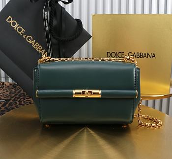 Fortok Dolce & Gabbana Marlene Green 18*10.6*7cm
