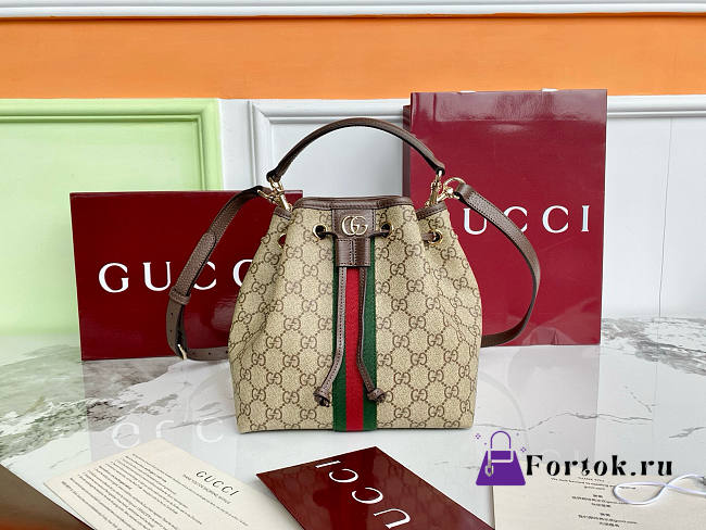 Fortok Gucci Ophidia small bucket bag Brown 21.5×21×13cm - 1
