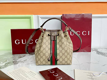 Fortok Gucci Ophidia small bucket bag Brown 21.5×21×13cm