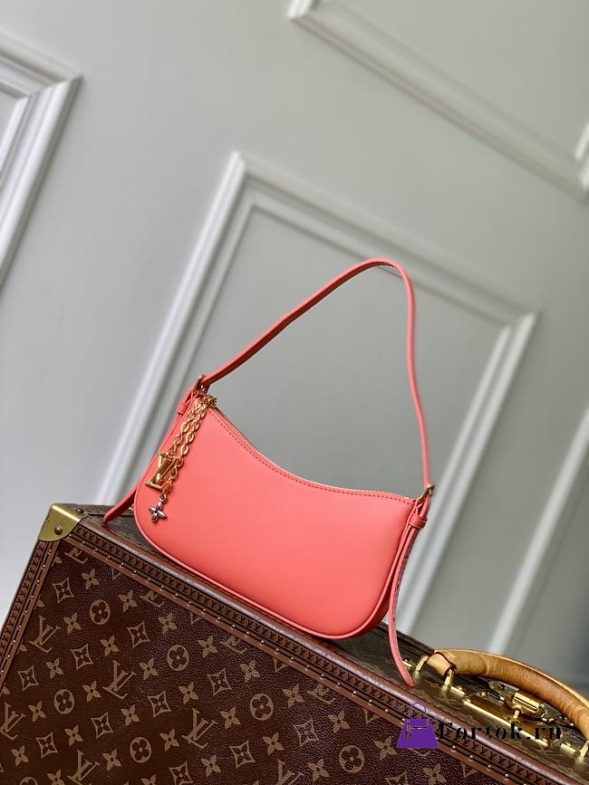Fortok Louis Vuitton Pochette LV Bloom Red 23 × 10 × 4 cm - 1