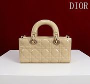 Fortok Dior Lady D-Joy Shinning Light Brown Gold Hardware  Leather with Velvet 21*12*6.5cm  - 2