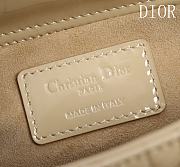 Fortok Dior Lady D-Joy Shinning Light Brown Gold Hardware  Leather with Velvet 21*12*6.5cm  - 6