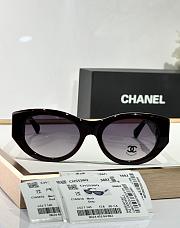 Fortok Chane sunglasses ch5536 02 - 2