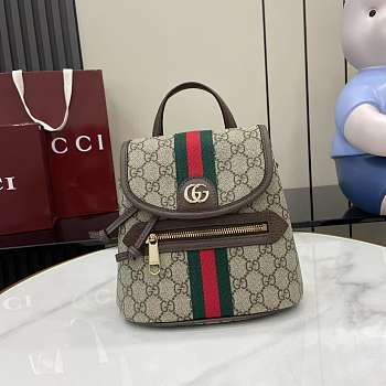 Fortok Gucci Ophidia Backpack 19.5 x 20 x 12.5 cm