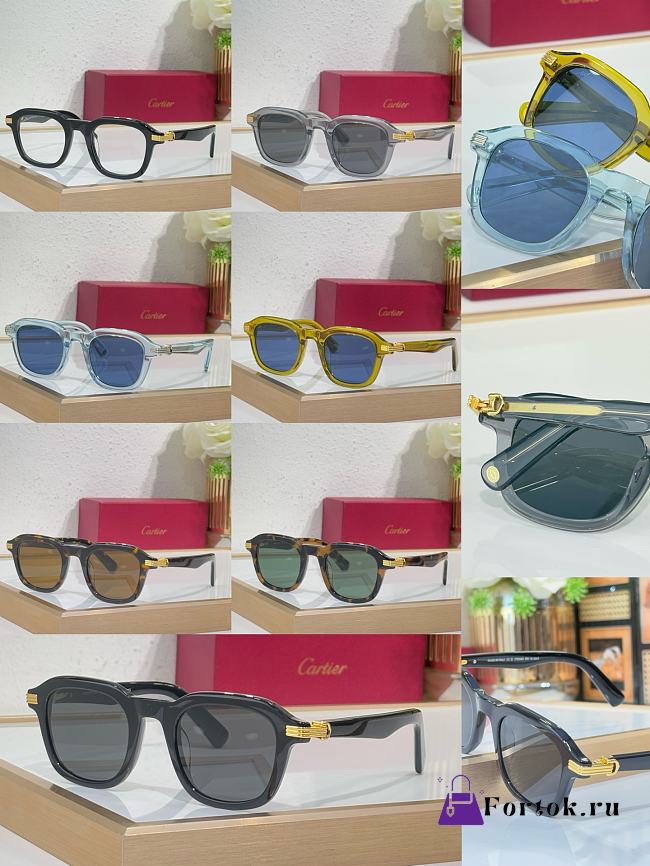Fortok Cartier Sunglasses CT0035 Multicolor 145cm - 1