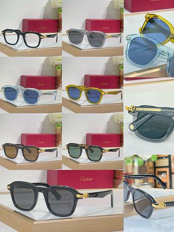 Fortok Cartier Sunglasses CT0035 Multicolor 145cm