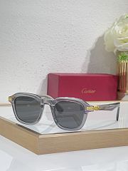 Fortok Cartier Sunglasses CT0035 Multicolor 145cm - 6