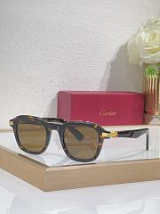 Fortok Cartier Sunglasses CT0035 Multicolor 145cm - 2