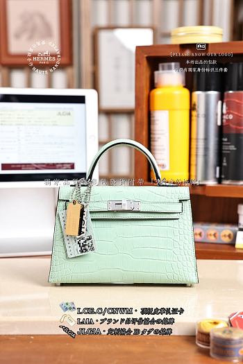 Fortok Hermes Mini Kelly Mint Green Matte Alligator 20 x 16 x 13cm