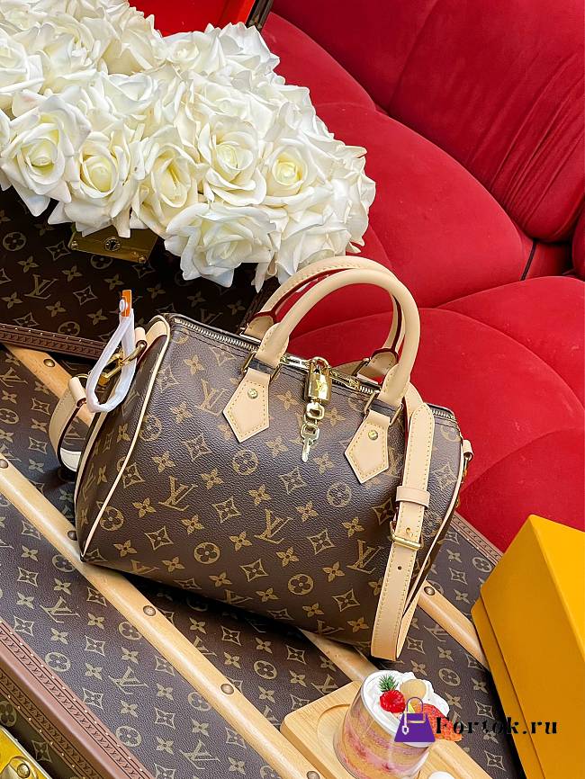 Fortok Louis Vuitton Soft Speedy Bag Monogram Brown 30x21x17cm  - 1