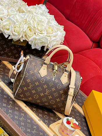 Fortok Louis Vuitton Soft Speedy Bag Monogram Brown 30x21x17cm 