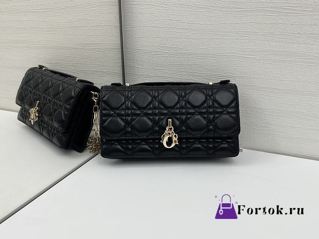 Fortok Dior My Dior Mini Bag Black Cannage 21 x 11.5 x 4.5cm - 1