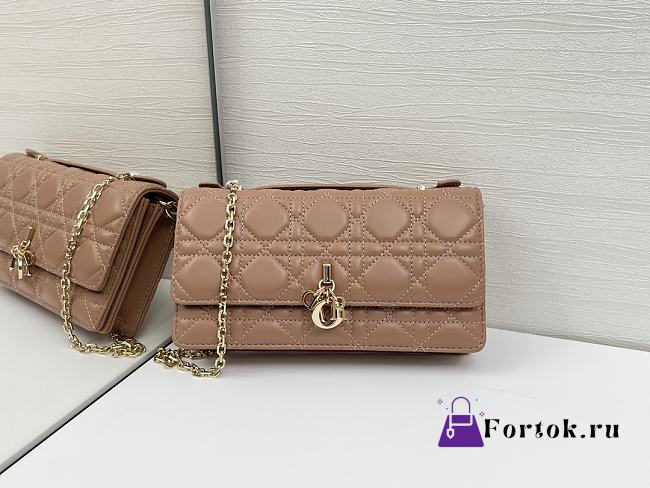 Fortok Dior My Dior Mini Bag Rose des Vents 21 x 11.5 x 4.5cm  - 1