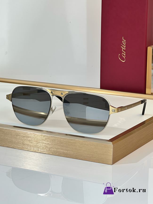 Fortok Cartier Sunglasses Santos de Cartier Brushed platinum-finish metal, grey lenses 58-17 145 - 1