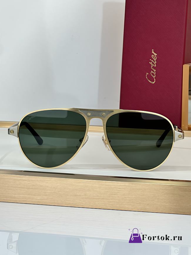 Fortok Cartier Sunglasses Santos de Cartier Multicolor Rounded lenses 58-16-145 - 1