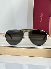 Fortok Cartier Sunglasses Santos de Cartier Multicolor Rounded lenses 58-16-145 - 2