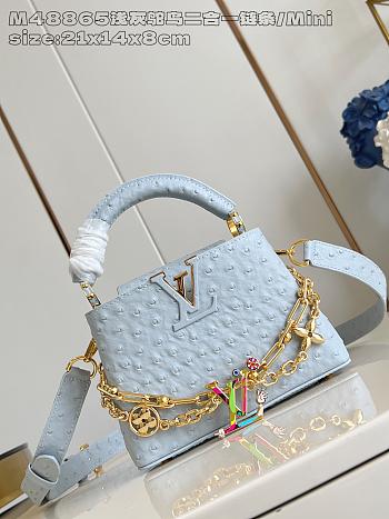 Fortok Louis Vuitton LV X Tm Capucines East-west Ostrich Leather Blue 13.6 x 8 x 21 cm