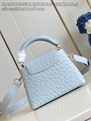 Fortok Louis Vuitton LV X Tm Capucines East-west Ostrich Leather Blue 13.6 x 8 x 21 cm - 2