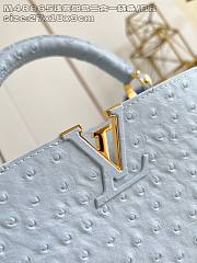 Fortok Louis Vuitton LV X Tm Capucines East-west Ostrich Leather Blue 17.3 x 9 x 27 cm  - 6