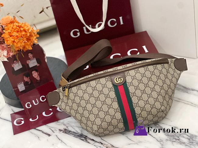 Fortok Gucci Ophidia belt bag Brown 46 × 18 × 5 cm  - 1