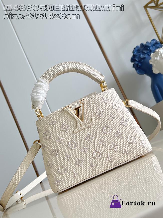 Fortok Louis Vuitton Capucines Mini handbag 21x14x8cm  - 1