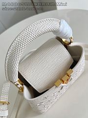 Fortok Louis Vuitton Capucines Mini handbag 21x14x8cm  - 6