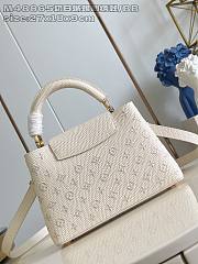 Fortok Louis Vuitton Capucines Mini handbag 27 x 9 x 18cm   - 4