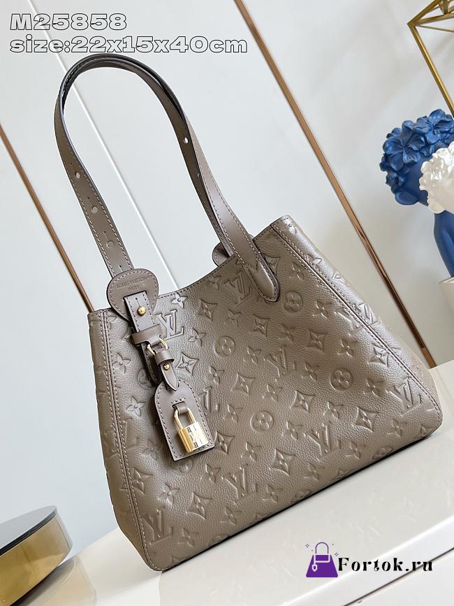 Fortok Louis Vuitton 2025 New Collection All In One PM Bag SMOKE M25890 22 x 15 x 40cm - 1