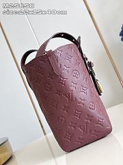 Fortok Louis Vuitton 2025 New Collection All In One PM Bag Grenat 22 x 15 x 40cm  - 3