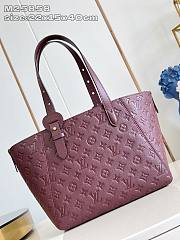 Fortok Louis Vuitton 2025 New Collection All In One PM Bag Grenat 22 x 15 x 40cm  - 2