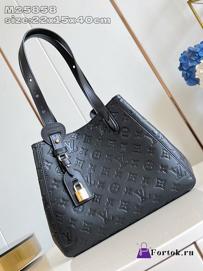 Fortok Louis Vuitton 2025 New Collection All In One PM Bag Black M25858 22 x 15 x 40cm  - 1