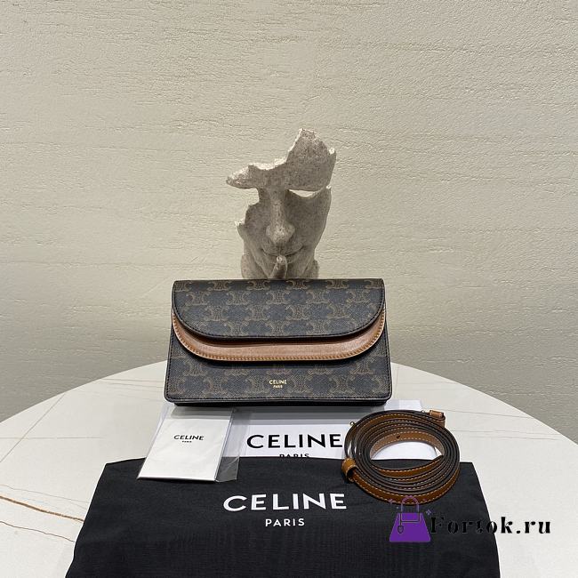 Fortok Celine Wallet on Strap in Triomphe Canvas and Smooth Lambskin 20 X 11.5cm - 1