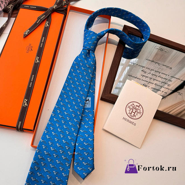 Fortok Hermes Sliding Jockey Twillbi tie Blue - 1