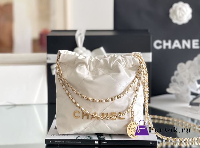 Fortok Chanel 22 bag in White Gold hardware 20 x 18.5 x 6cm  - 1