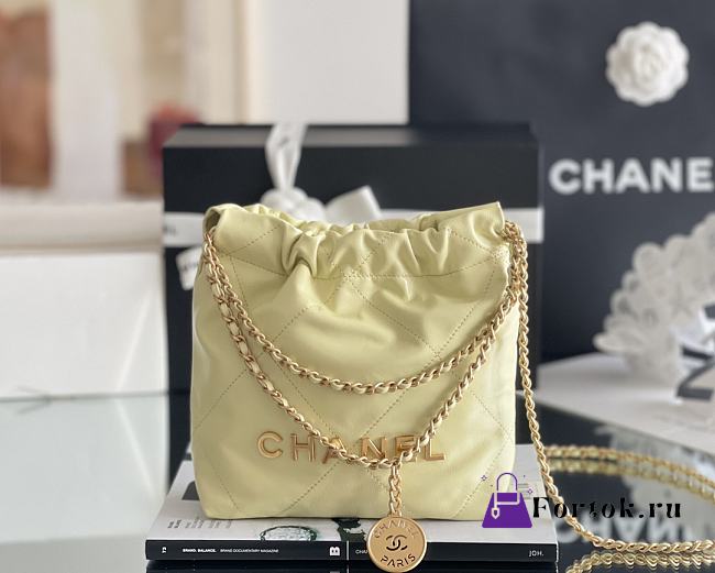 Fortok Chanel 22 bag in Yellow Gold hardware 20 x 18.5 x 6cm - 1
