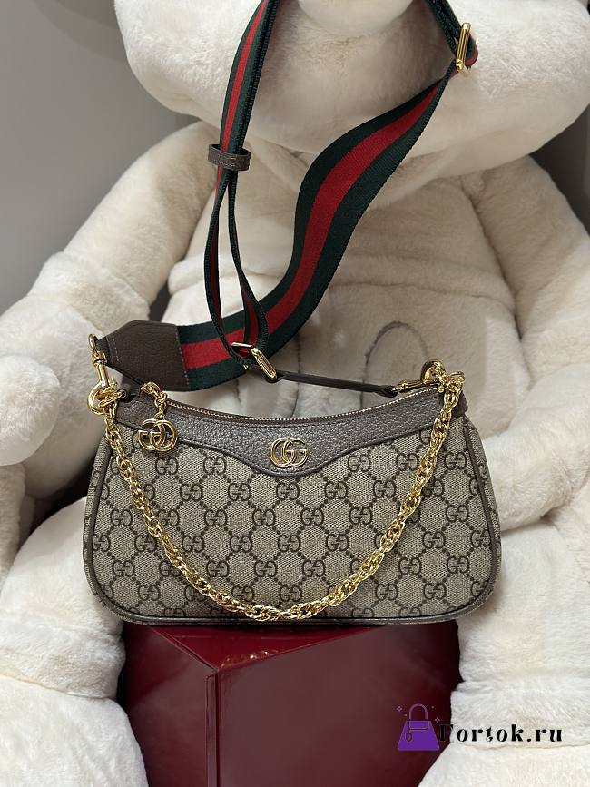 Fortok Gucci Ophidia bag in GG Supreme canvas 25 x 15 x 6 cm - 1