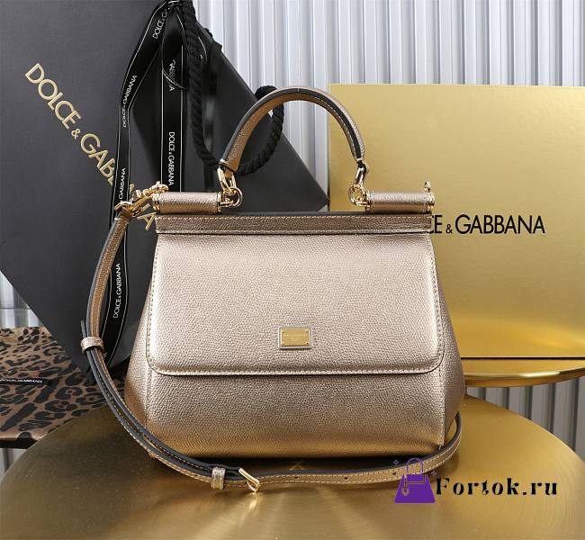 Fortok Dolce & Gabbana Sicily handbag 20*16*8cm - 1