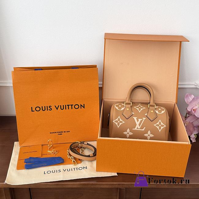 Fortok Louis Vuitton Speedy 20 Brown 20.5x13.5x12cm - 1